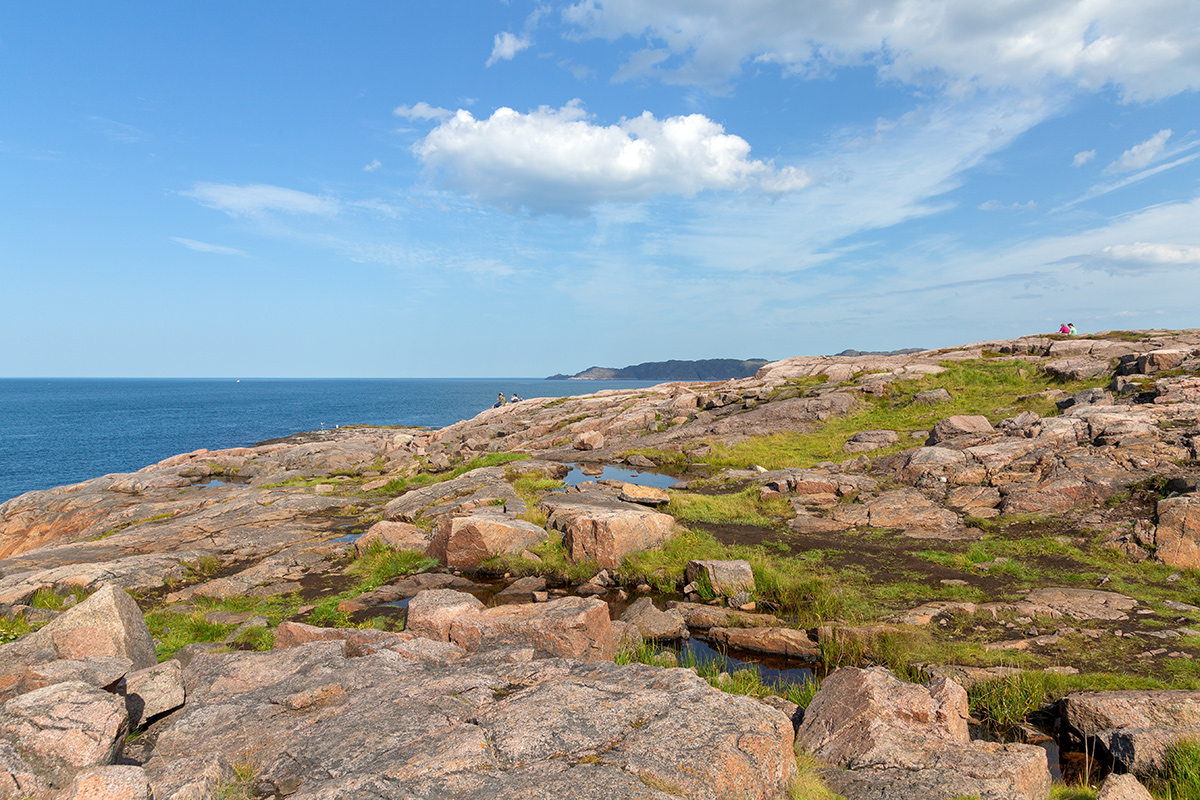 Териберка, image of landscape/habitat.