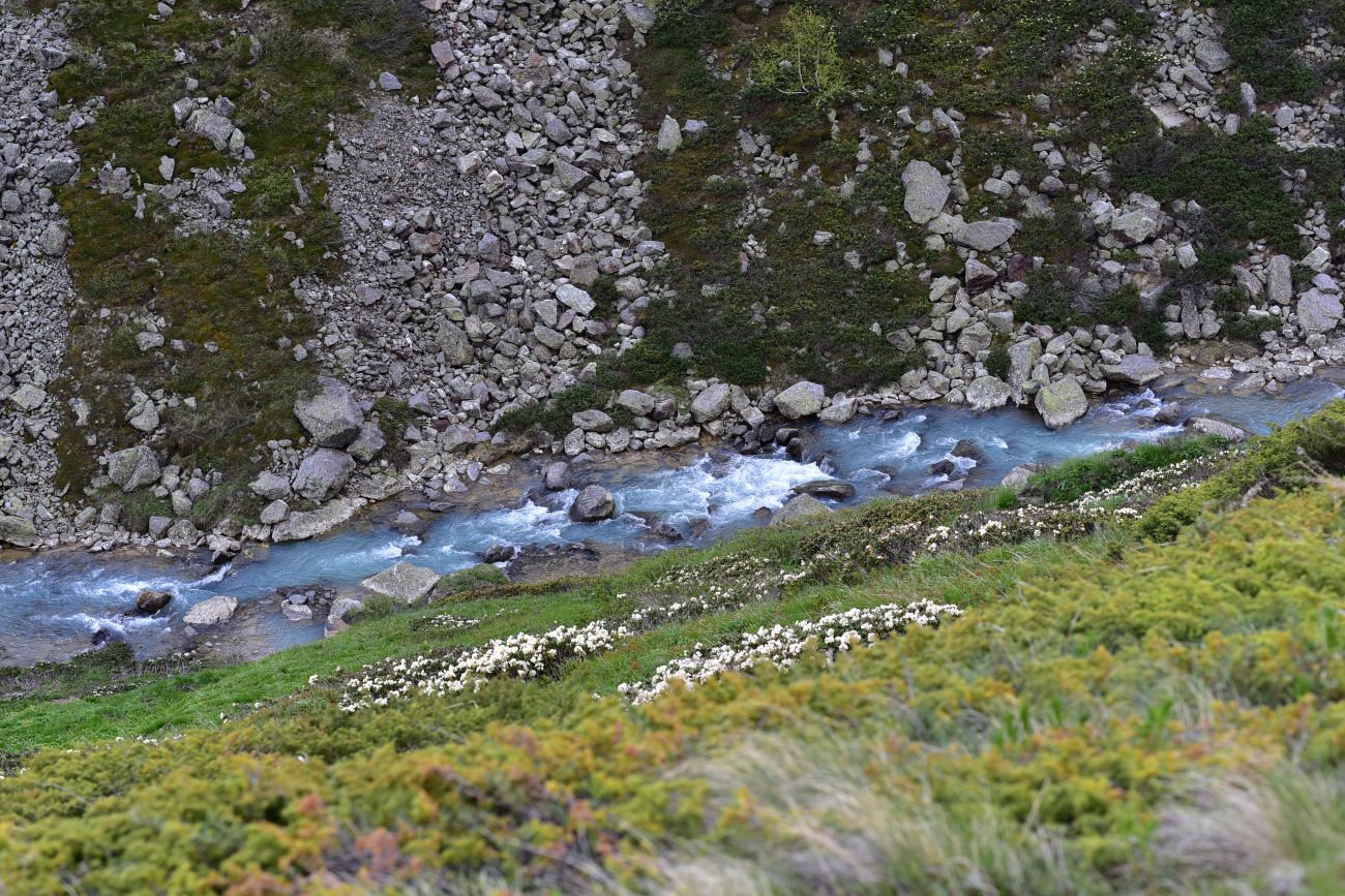 Долина реки Донгуз-Орун, изображение ландшафта.
