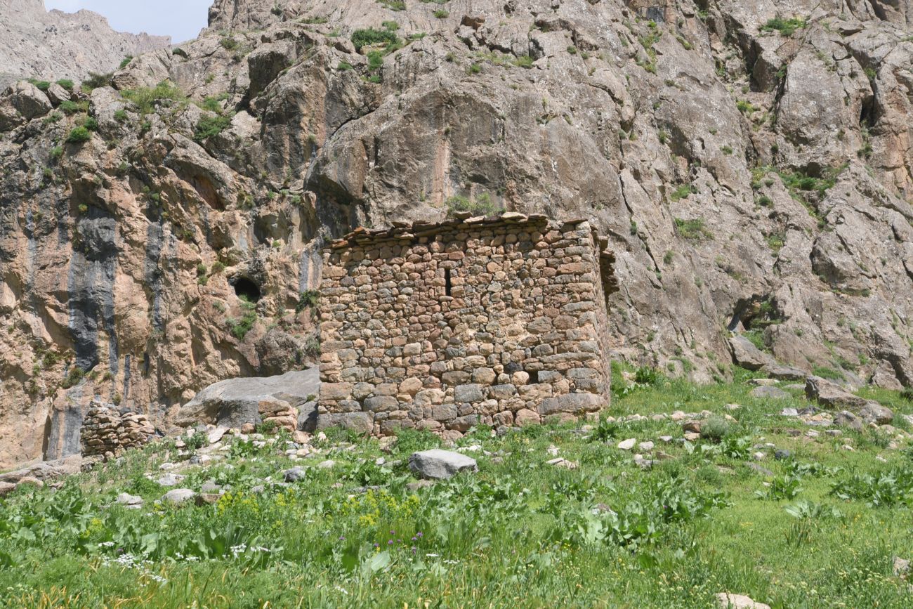 Несторианская церковь, image of landscape/habitat.