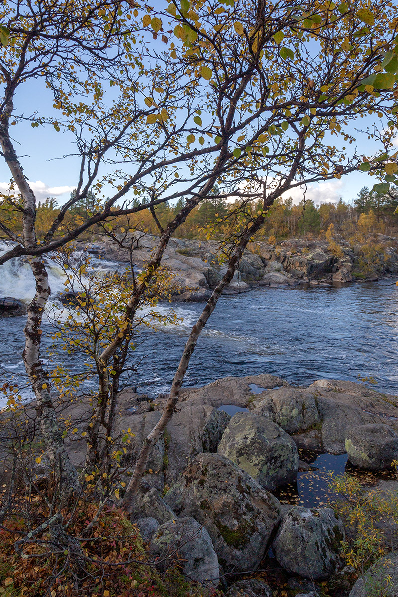Река Ура, image of landscape/habitat.