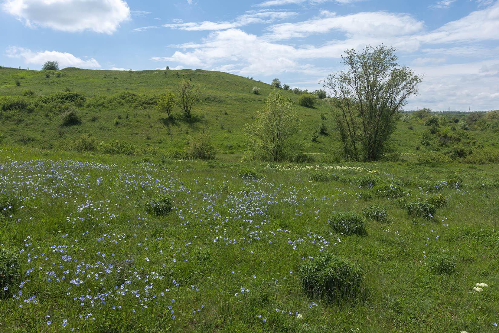 Окрестности села Несветай, image of landscape/habitat.