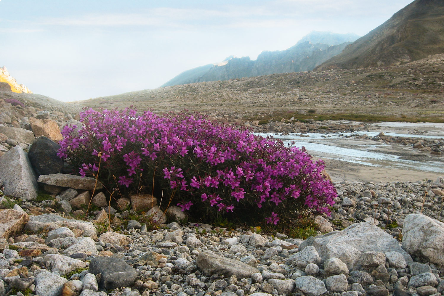 Долина реки Большая Марка, image of landscape/habitat.