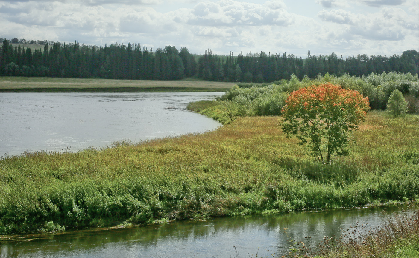 Окрестности села Ключи, image of landscape/habitat.