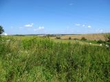 Image of landscape