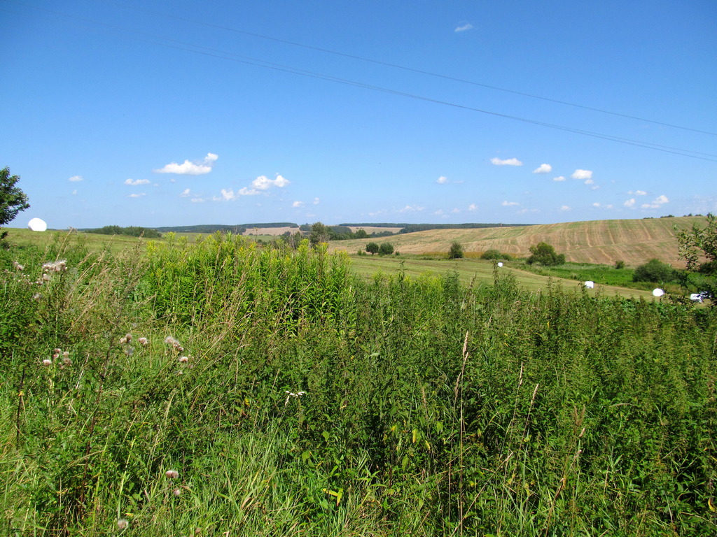 Новогрудок, image of landscape/habitat.