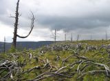 Image of landscape