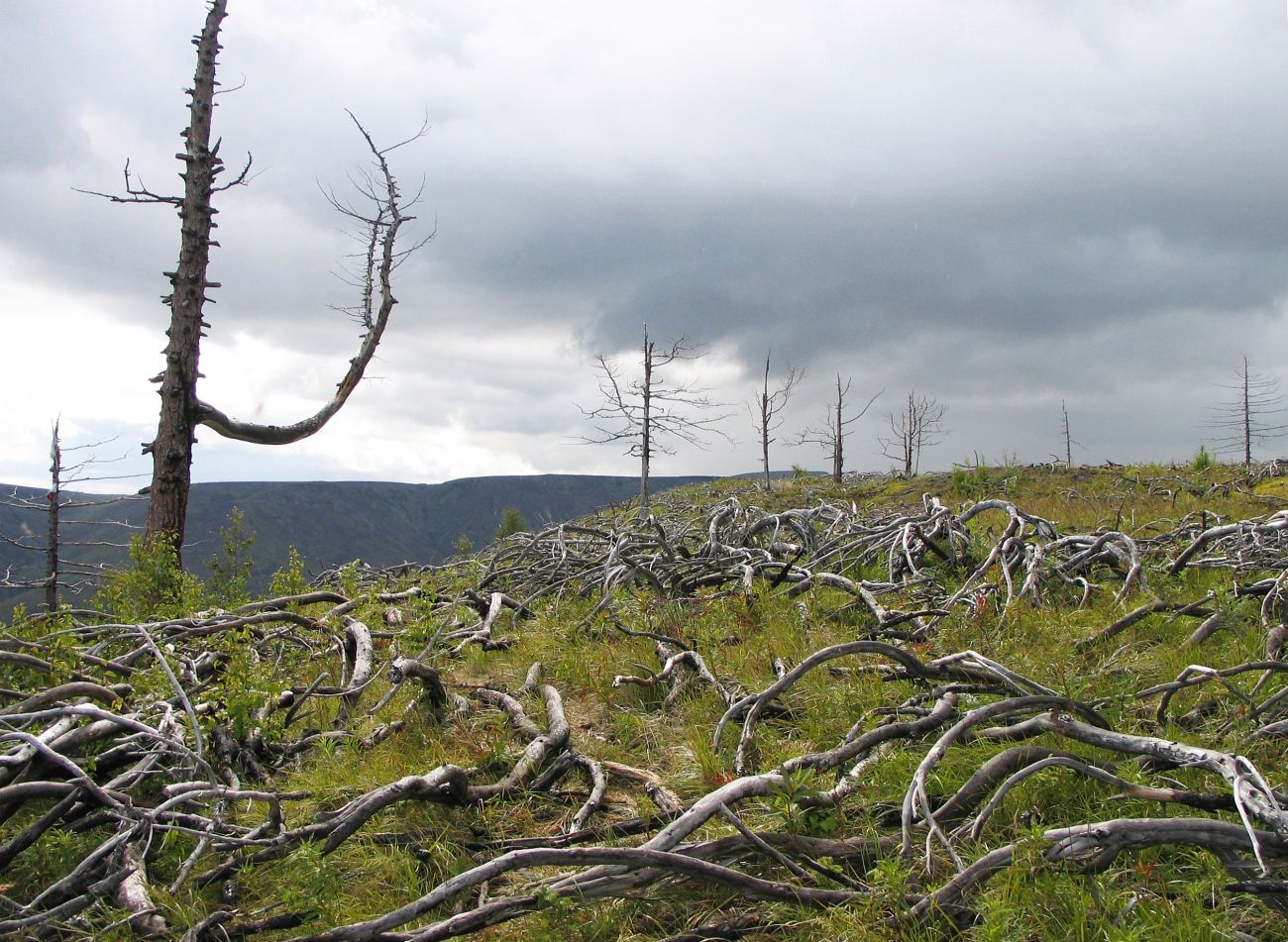 Северный прорыв, image of landscape/habitat.