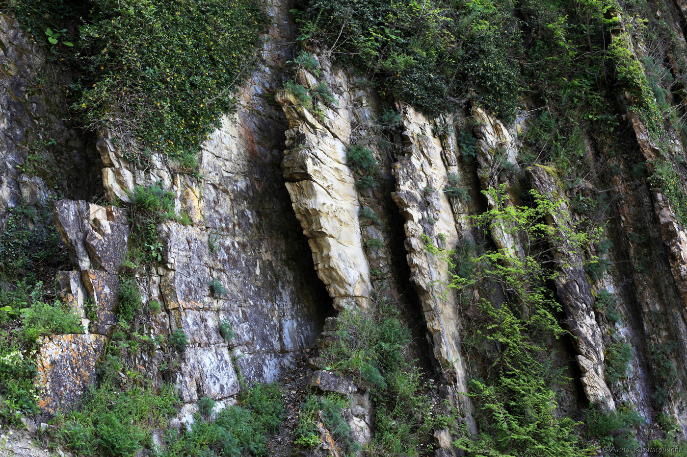 Парк Кадош и скала Киселёва, image of landscape/habitat.