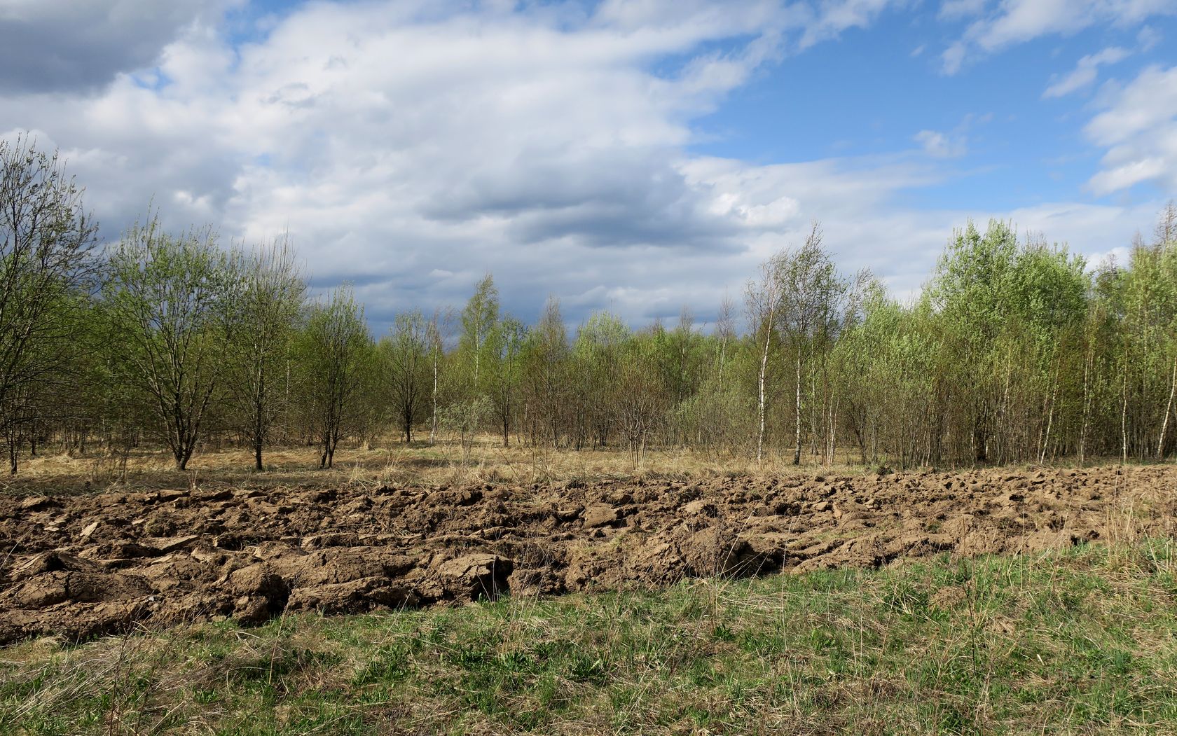 Ярцево, image of landscape/habitat.