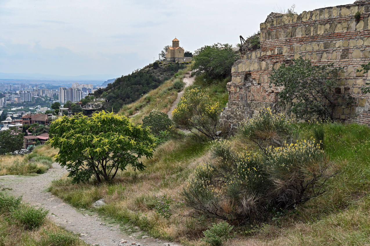 Тбилиси, image of landscape/habitat.
