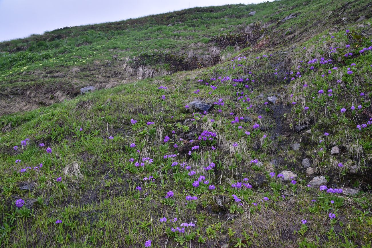 Долина реки Донгуз-Орун, изображение ландшафта.