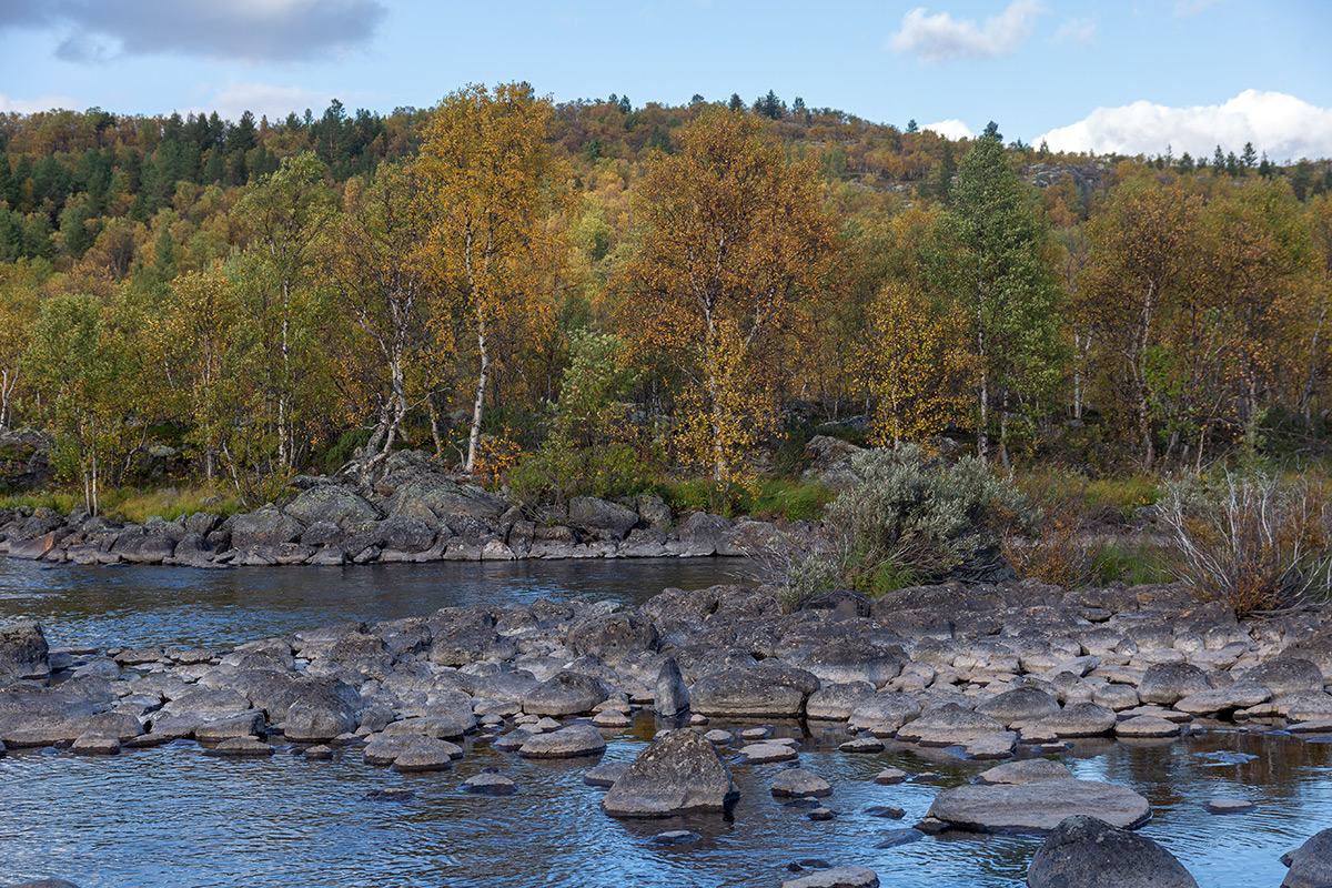 Река Ура, image of landscape/habitat.