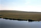 Провалье, Грушевский участок, image of landscape/habitat.