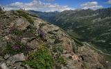 Хребет Ужум, image of landscape/habitat.