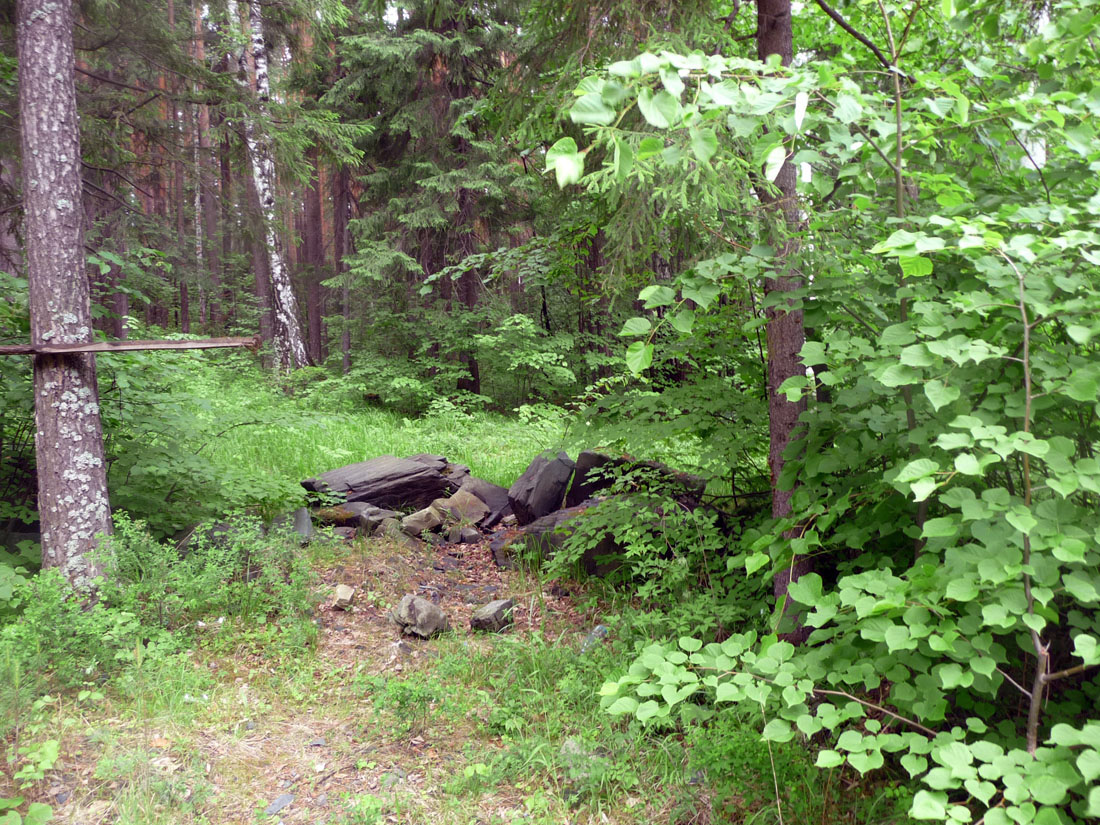 Коптяки, image of landscape/habitat.
