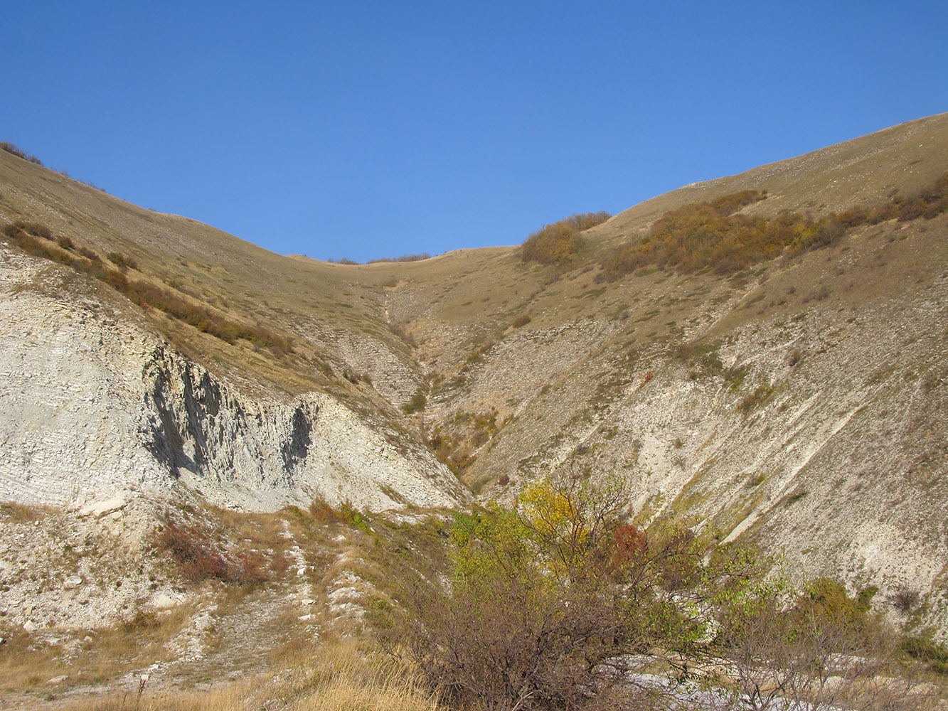 Истоки Мефодиевского ручья, image of landscape/habitat.