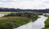 Окрестности села Ключи, image of landscape/habitat.