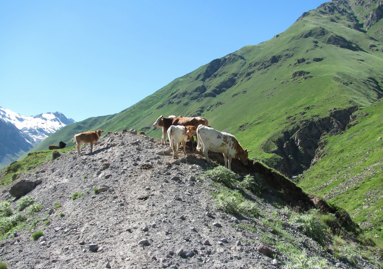 Долина реки Ирик, image of landscape/habitat.