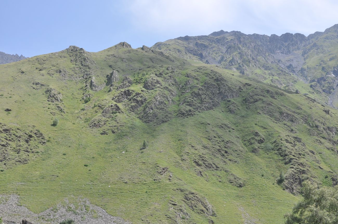 Западный склон горы Куро, image of landscape/habitat.