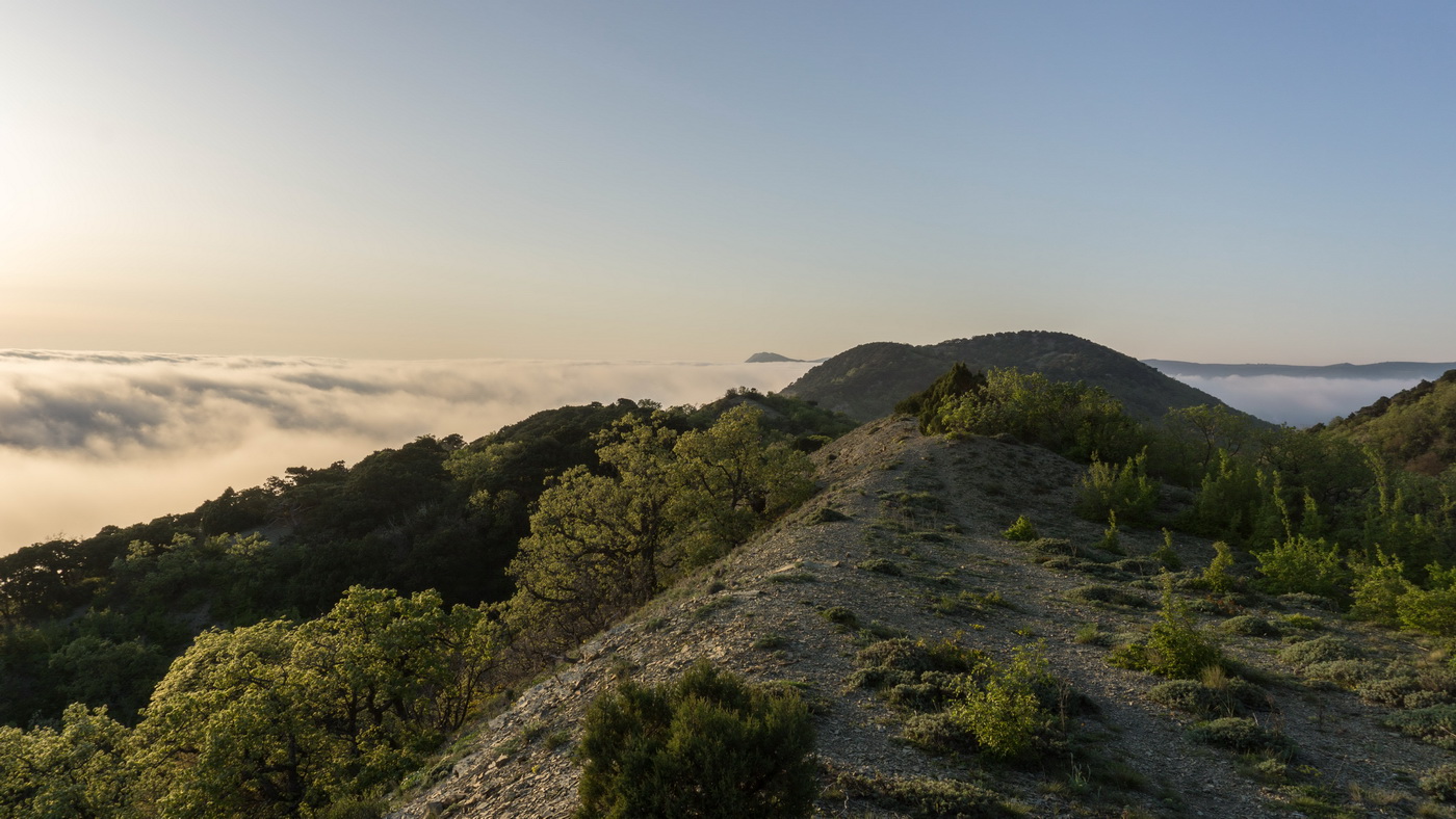 Мыс Большой Утриш, image of landscape/habitat.