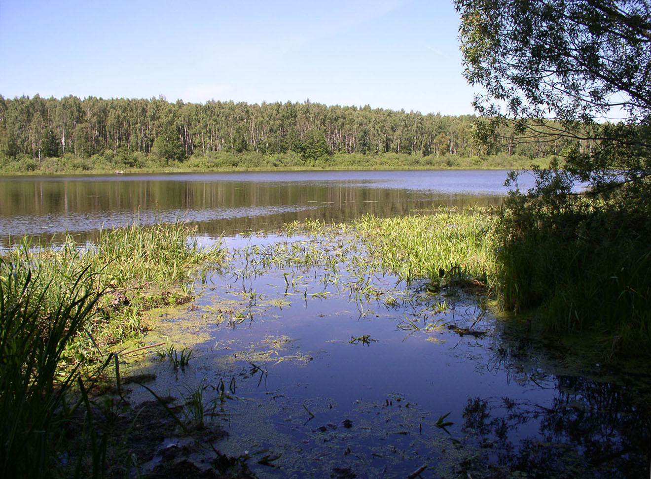 Иваньковское водохранилище, image of landscape/habitat.