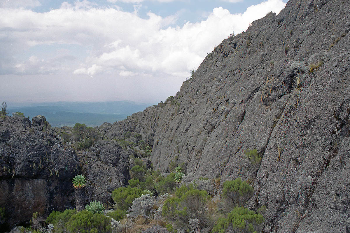 Килиманджаро, изображение ландшафта.