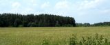 Image of landscape
