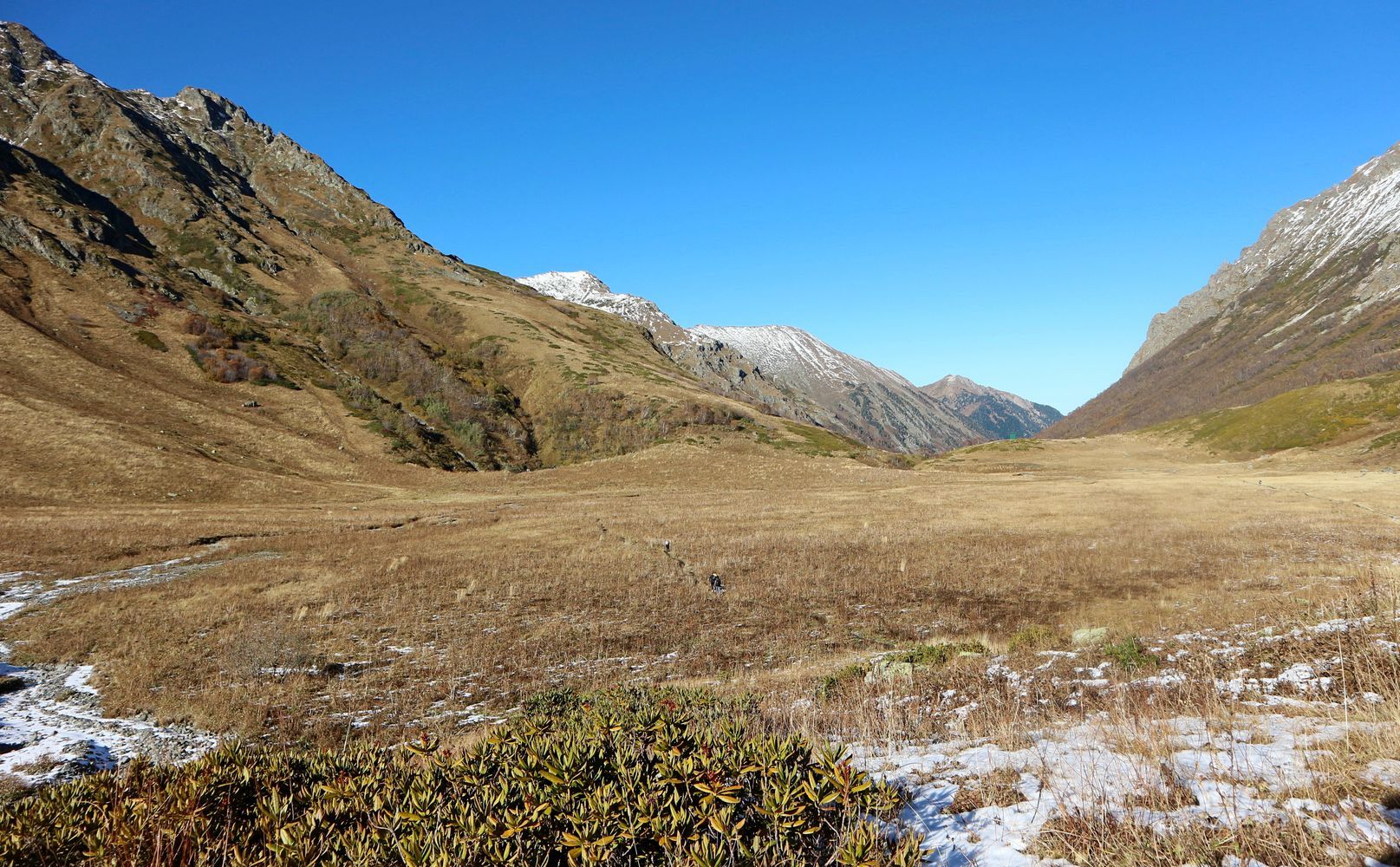 Перевал Псеашхо, image of landscape/habitat.