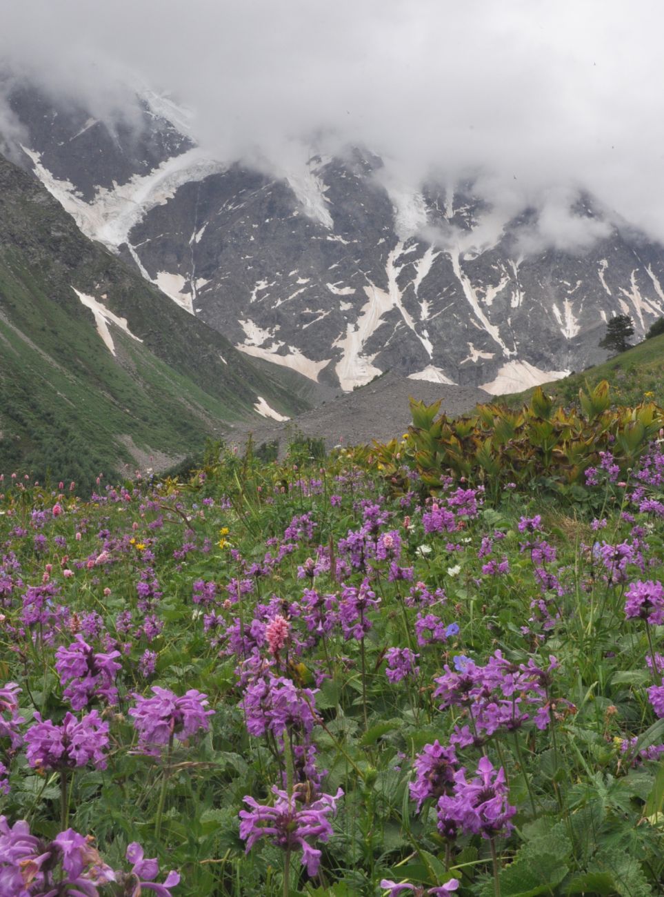 Восточный склон горы Чегет, изображение ландшафта.