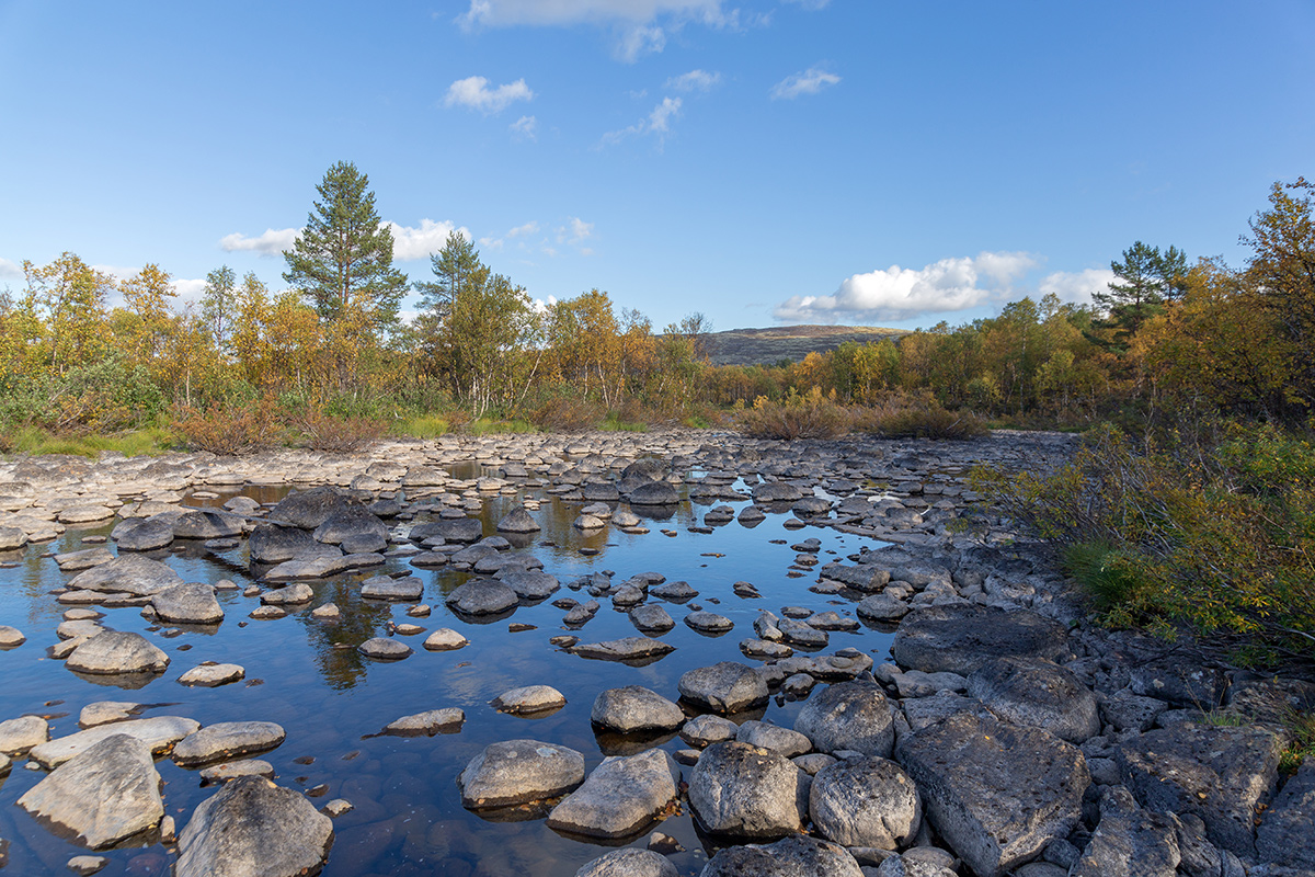 Река Ура, image of landscape/habitat.