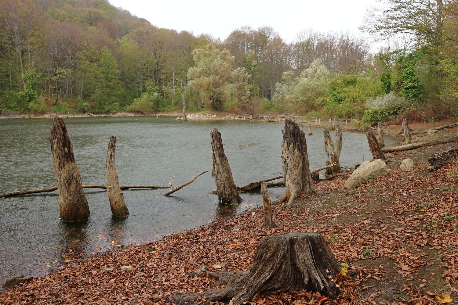 Озеро Хыжи, image of landscape/habitat.