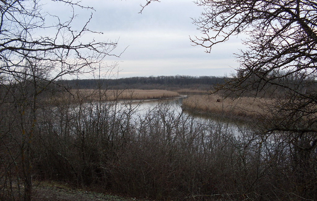 Александровский лес, image of landscape/habitat.