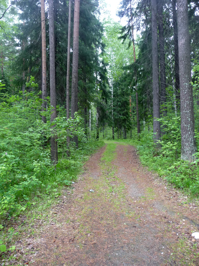 Коптяки, image of landscape/habitat.