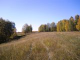 Image of landscape