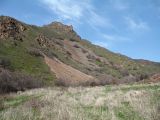 Image of landscape