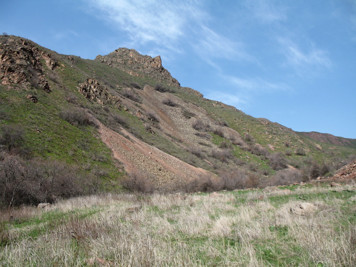 Мерке, image of landscape/habitat.