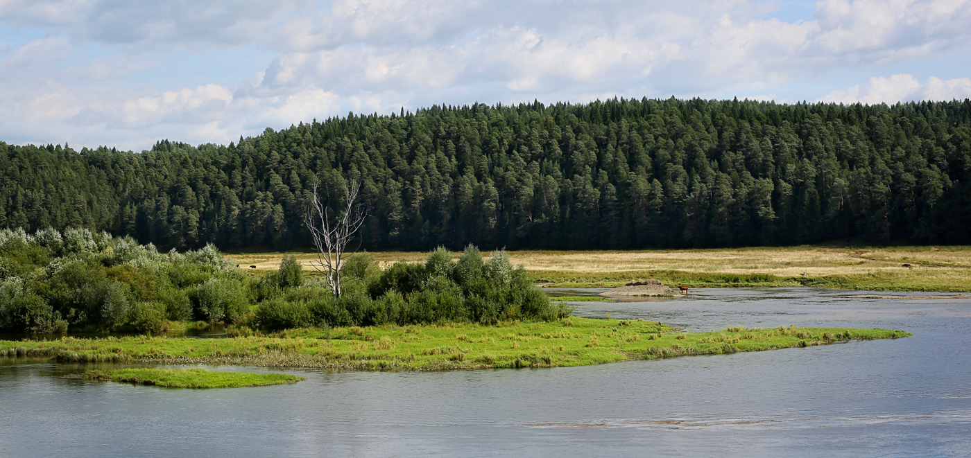 Окрестности села Ключи, image of landscape/habitat.