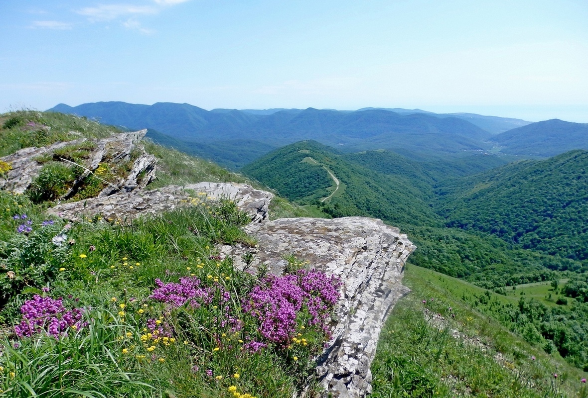 Гора Шахан, image of landscape/habitat.