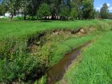 Новогрудок, image of landscape/habitat.