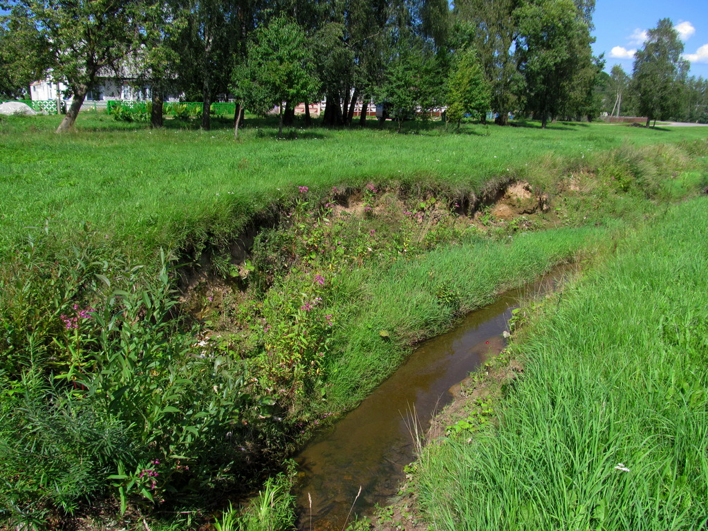 Новогрудок, image of landscape/habitat.