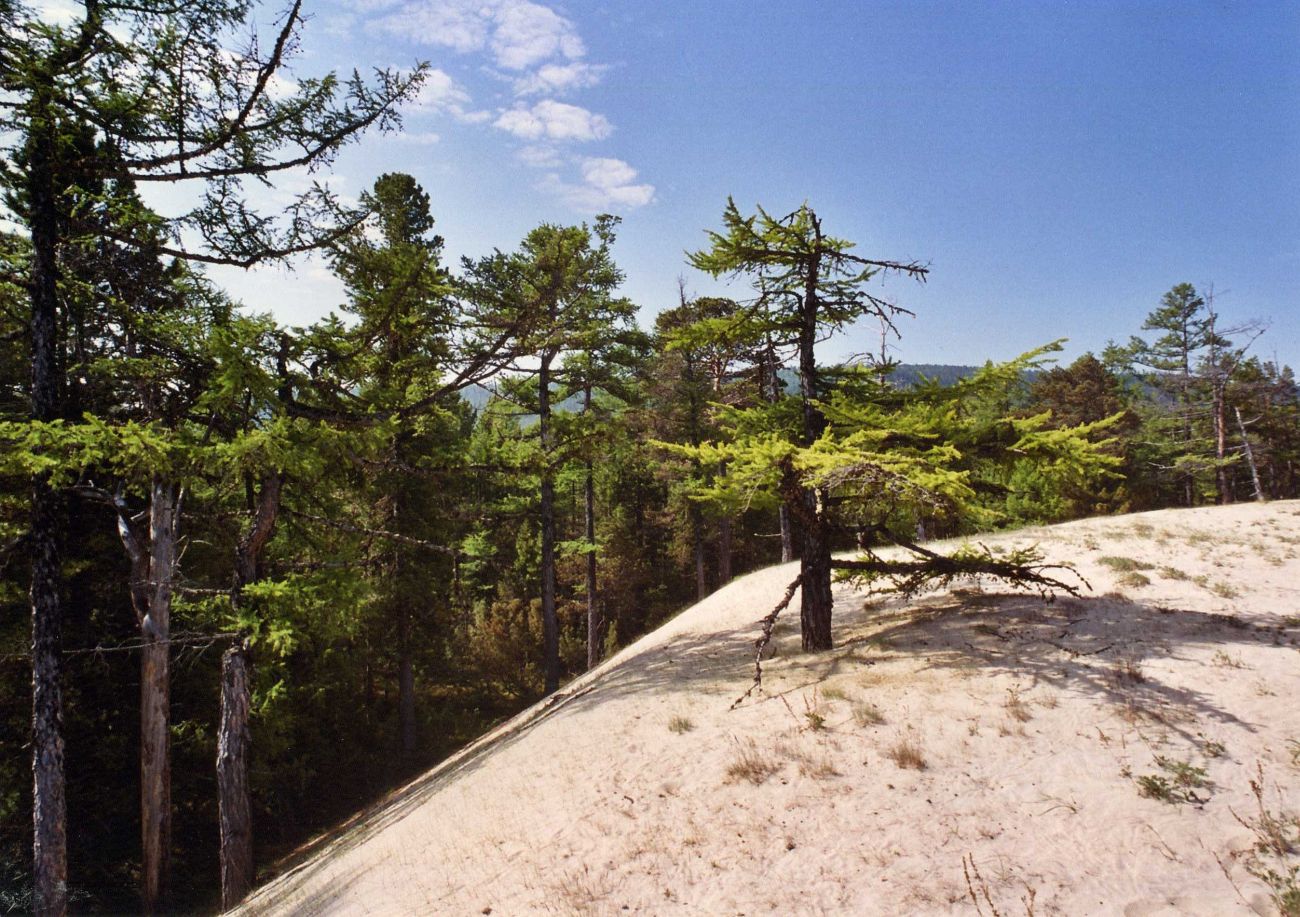 Чивыркуй, image of landscape/habitat.