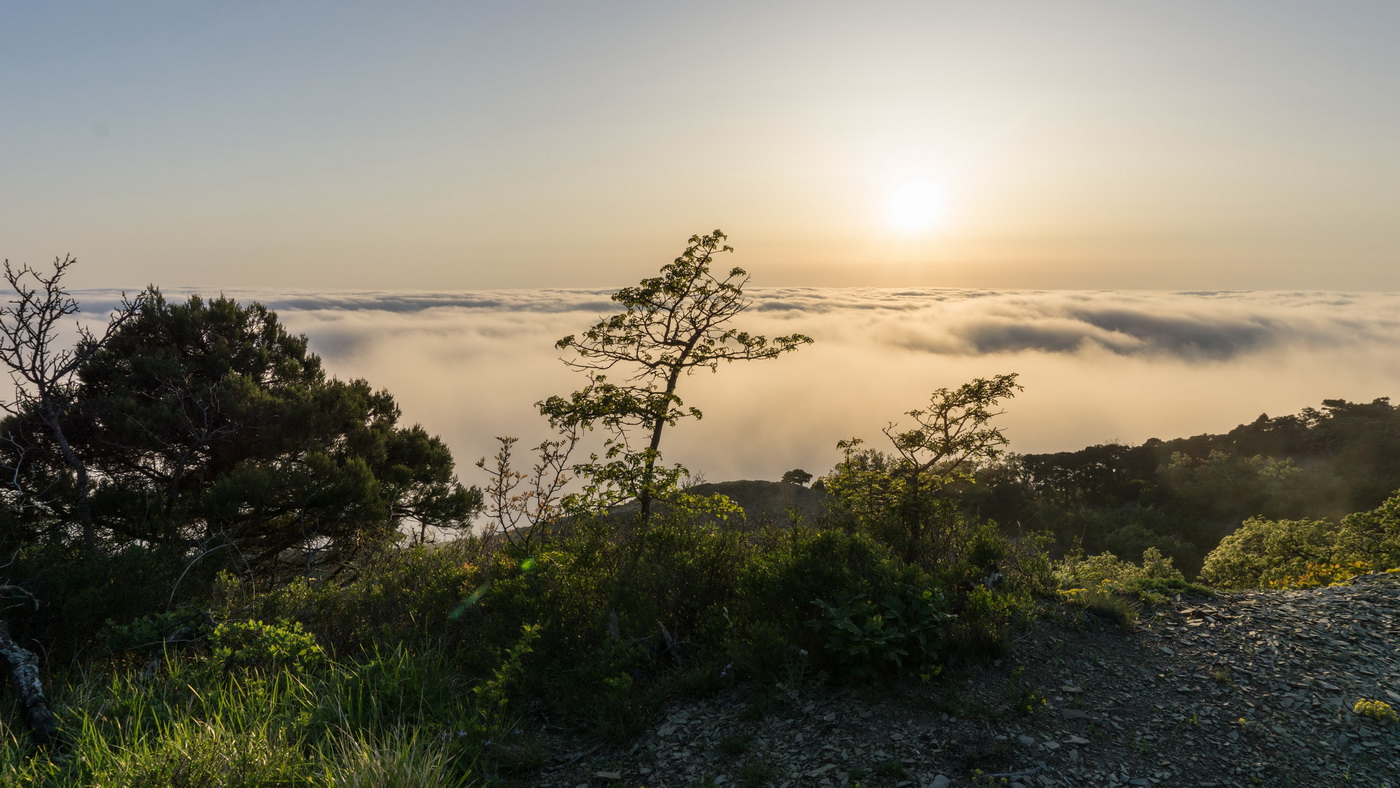 Мыс Большой Утриш, image of landscape/habitat.