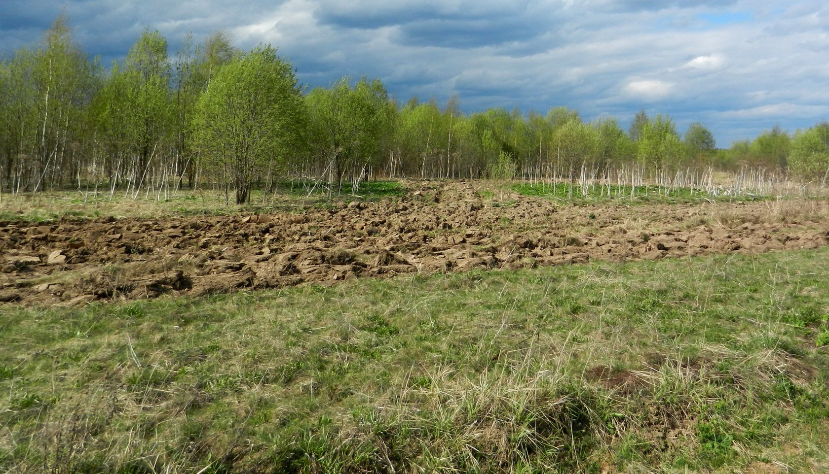 Ярцево, изображение ландшафта.
