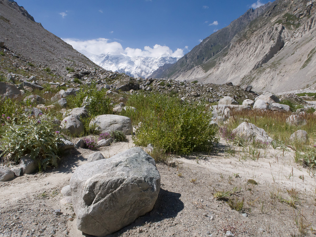 Черек-Безенгийское ущелье, image of landscape/habitat.