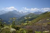 Юго-восточный склон Чархунышкорт, image of landscape/habitat.