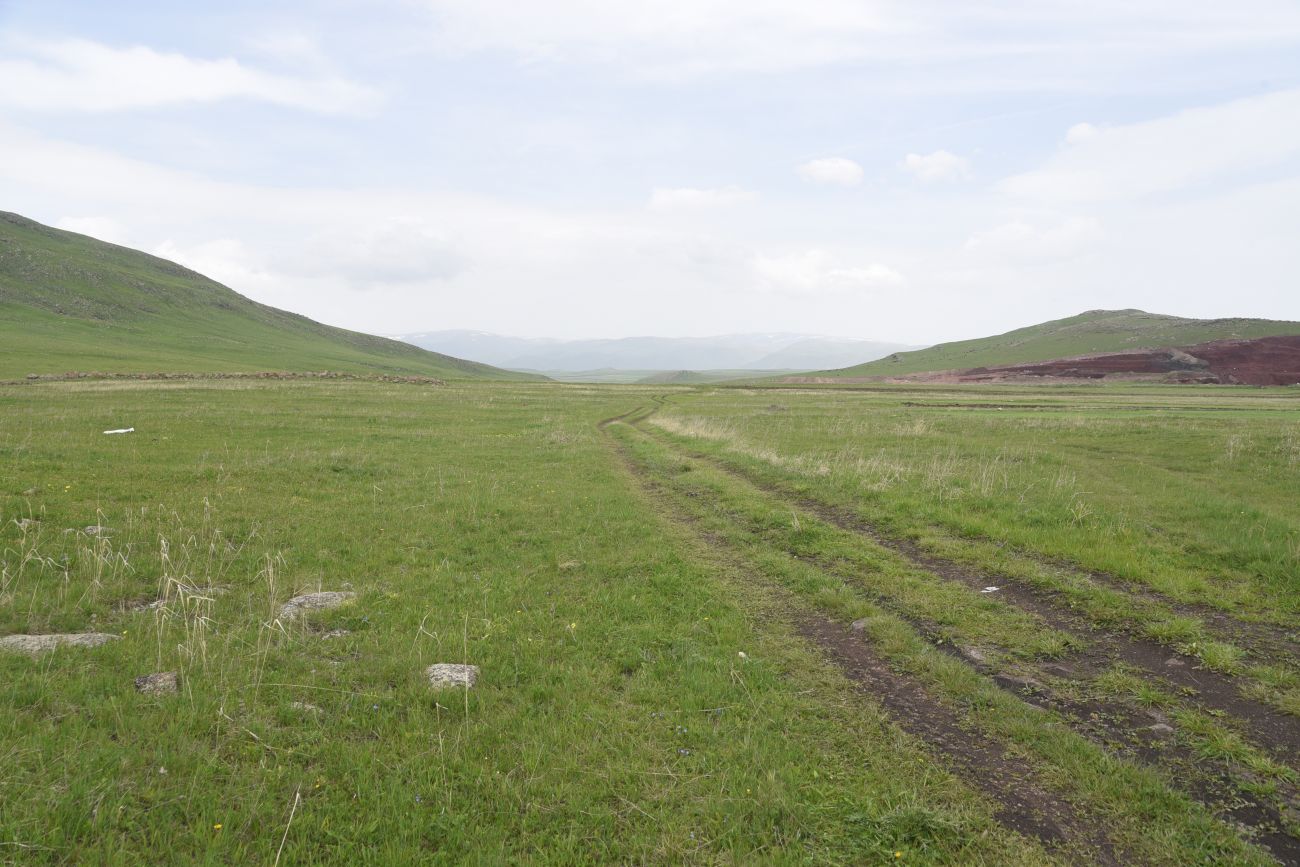 Диди-Гюней, image of landscape/habitat.