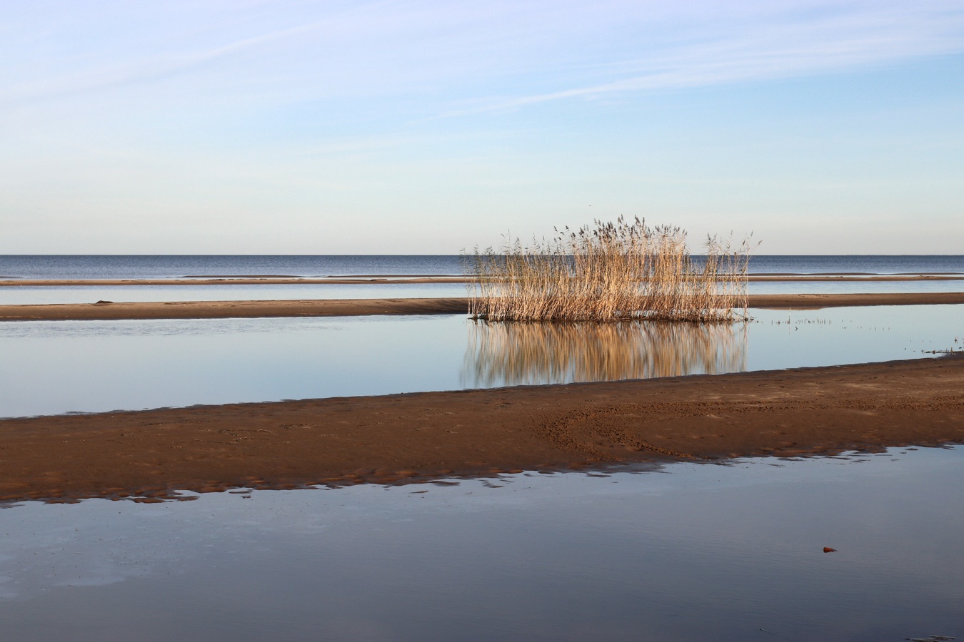 Окрестности Коккорево, image of landscape/habitat.