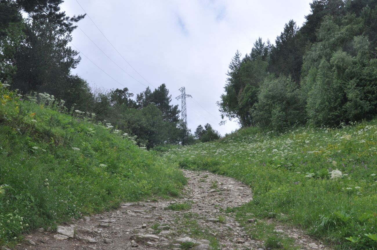 Восточный склон горы Чегет, изображение ландшафта.