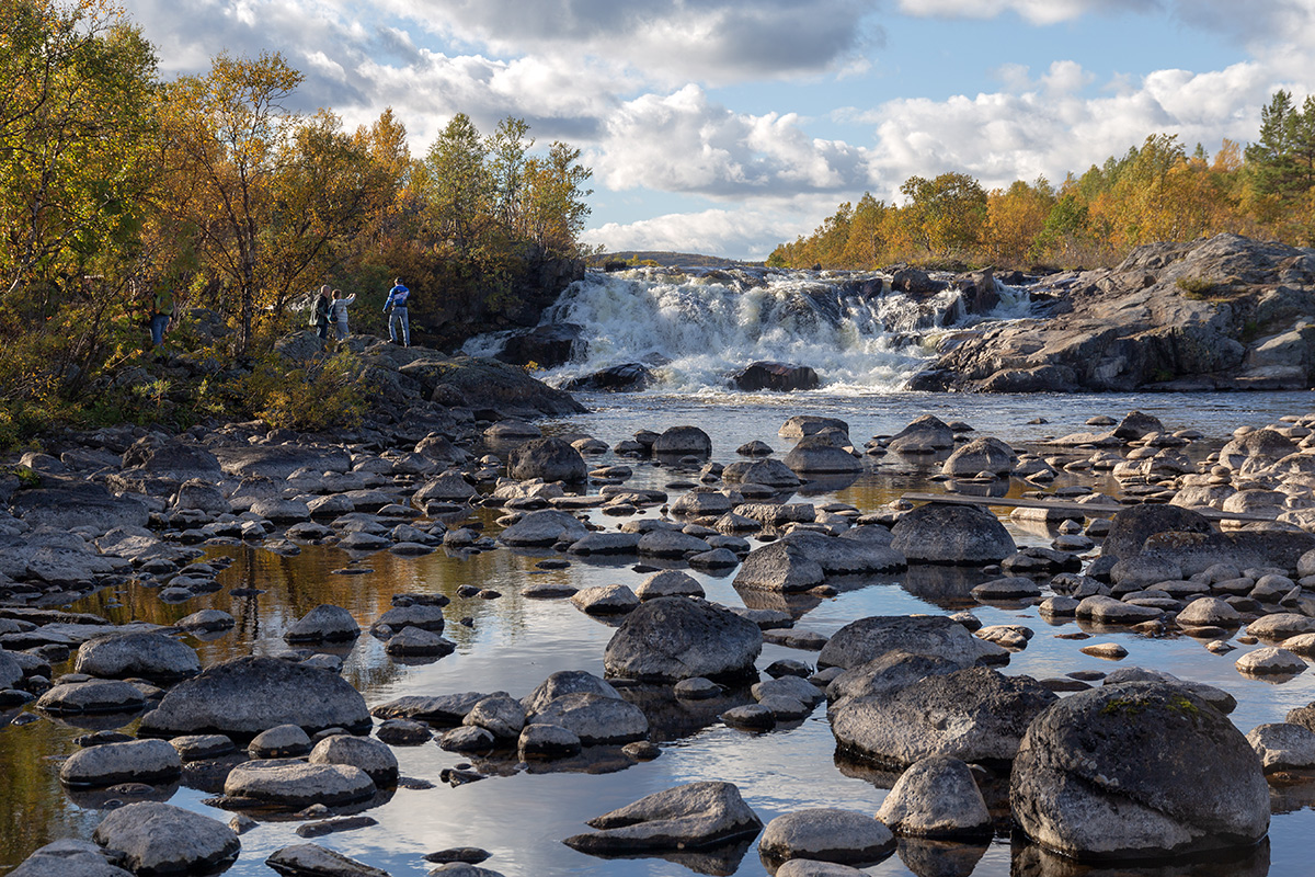 Река Ура, image of landscape/habitat.