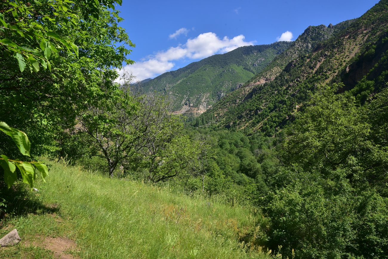 Окрестности храма Отхта, image of landscape/habitat.
